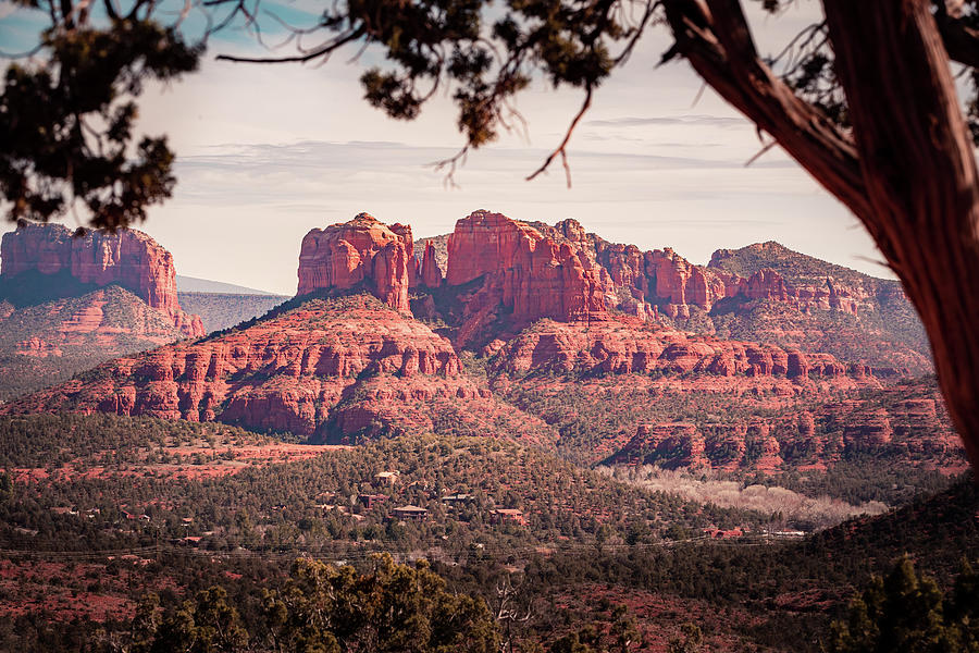 Mesa de Rojo Landscape, Sedona, Arizona Photograph by Shannon Williams