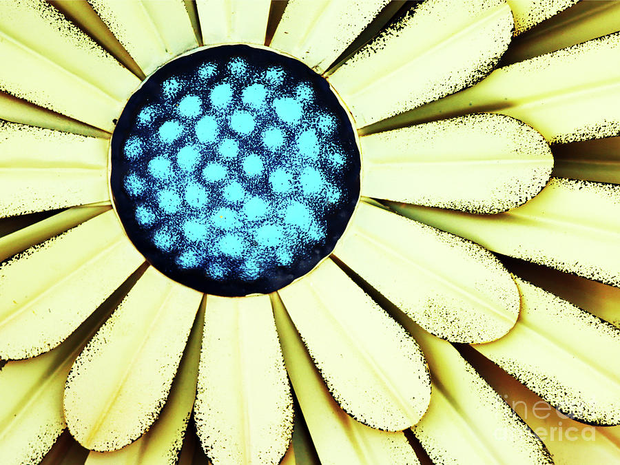 Metal Petals Photograph by Rick Locke - Out of the Corner of My Eye