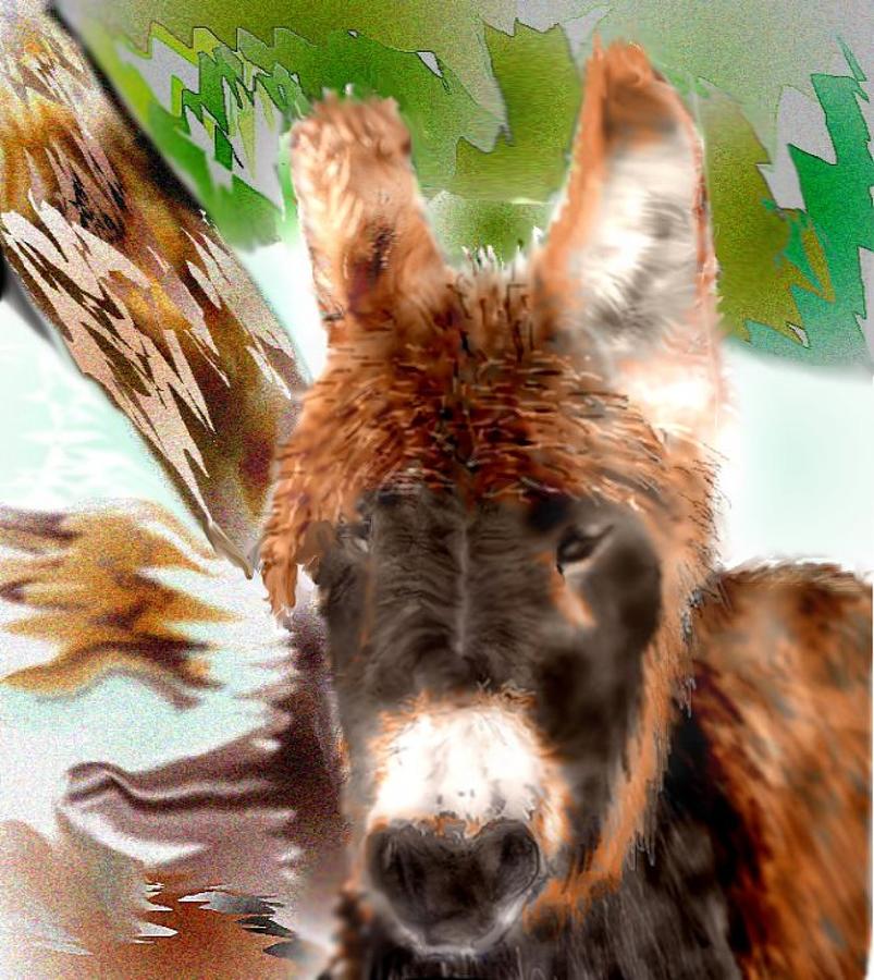 Miniature Donkey Mixed Media by Pamela Calhoun