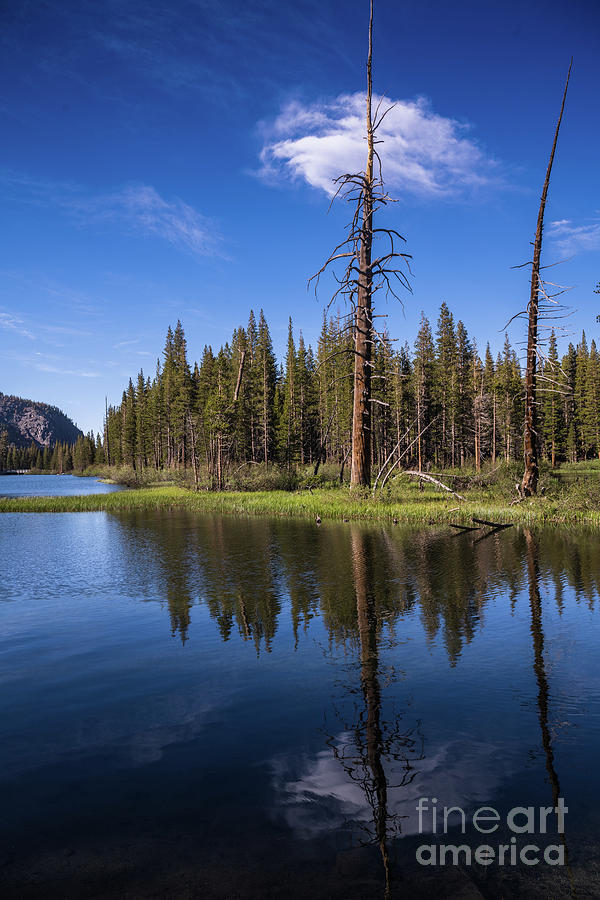 Mirrored Reflections Photograph by Abigail Diane Photography