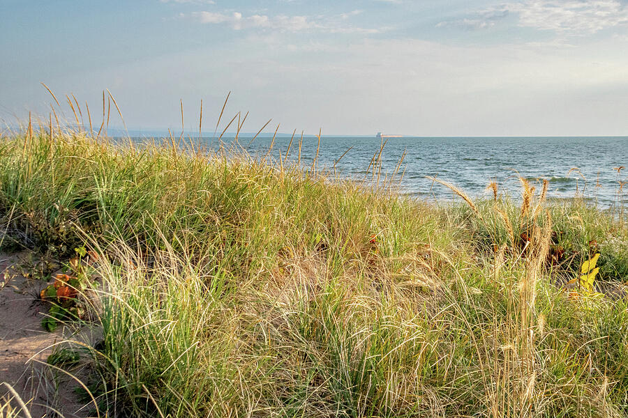 MN Point and Dunes_2348 Photograph by Mark Triplett