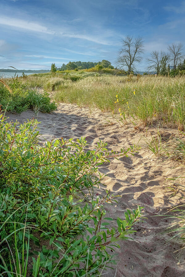 MN Point and Dunes_2358 Photograph by Mark Triplett