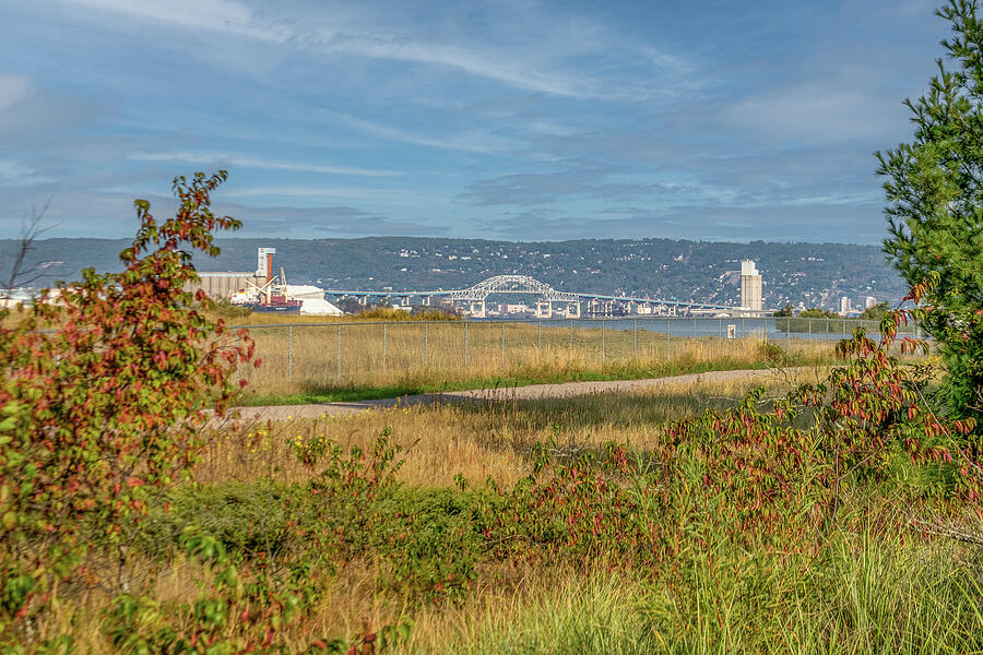 MN Point and Dunes_2364 Photograph by Mark Triplett