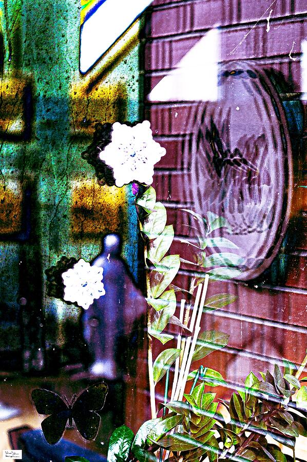 Reflected Flowers on Glass Photograph - Mnst- Birds, Flowers, Stars... And Maybe A Butterfly... Maybe Jesus. by Alex John Bergerman
