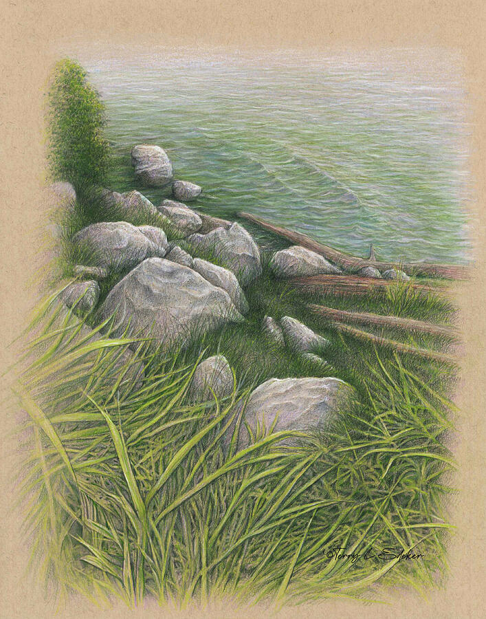 Mobile Bay Drawing by Terry Edeker