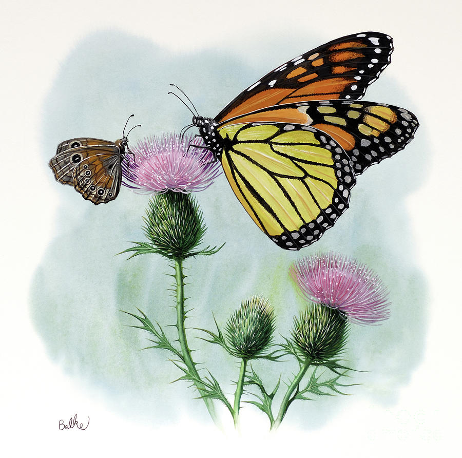 Monarch Butterfly Painting by Don Balke