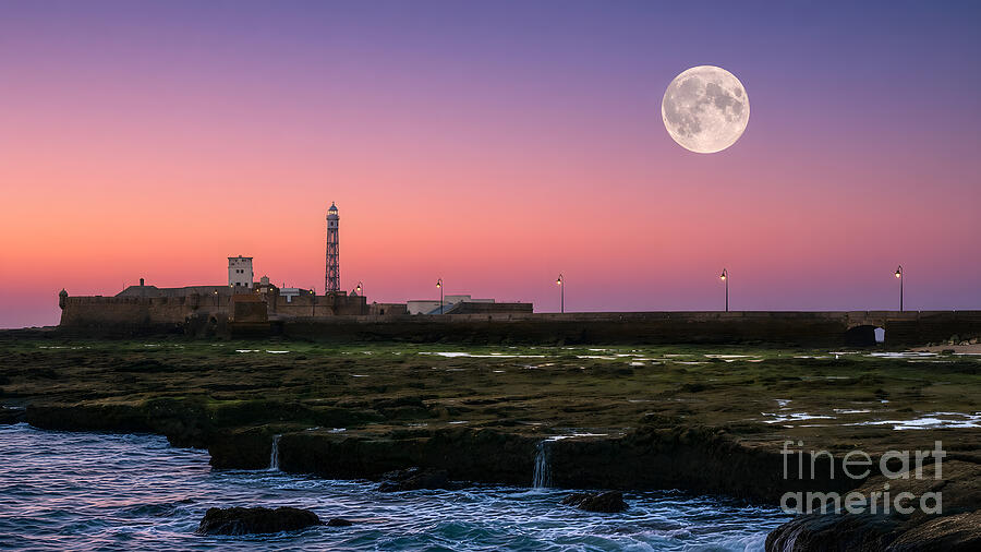 Full moon over Castle of San Sebastian silhouette at twilight, La Caleta, Cadiz, Spain, with mossy rocks in foreground