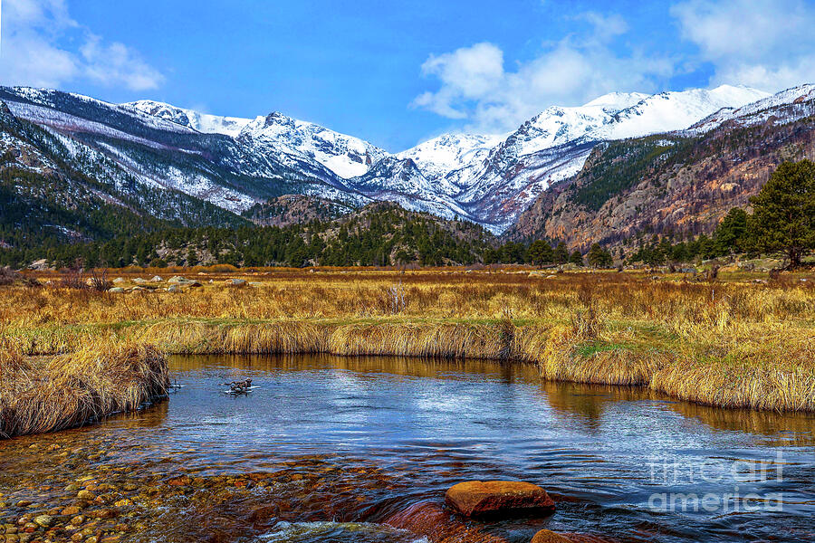 Snowy Mountain View with Stream Photograph - Moraine Park in Rocky Mountain National Park by Shirley Dutchkowski
