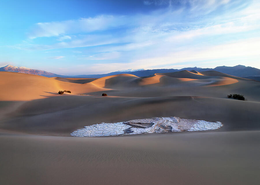 Morning Breaks on Mesquite Dunes Photograph by Joe Schofield