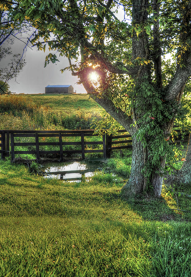 Morning Has Broken Photograph by Randall Dill