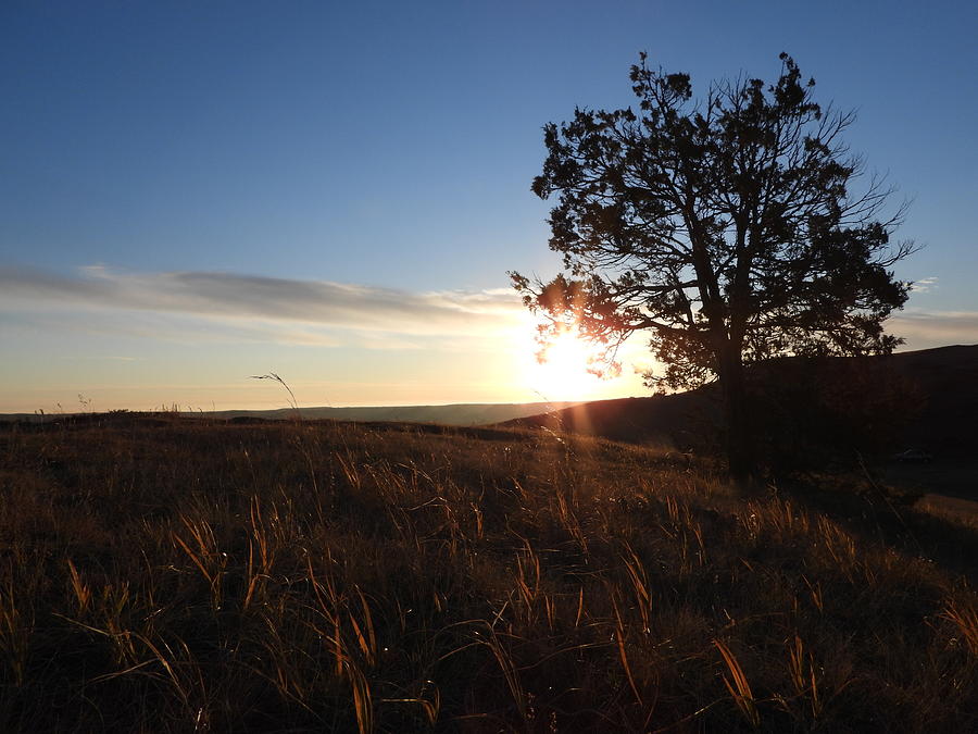 Morning Light Photograph by Amanda R Wright