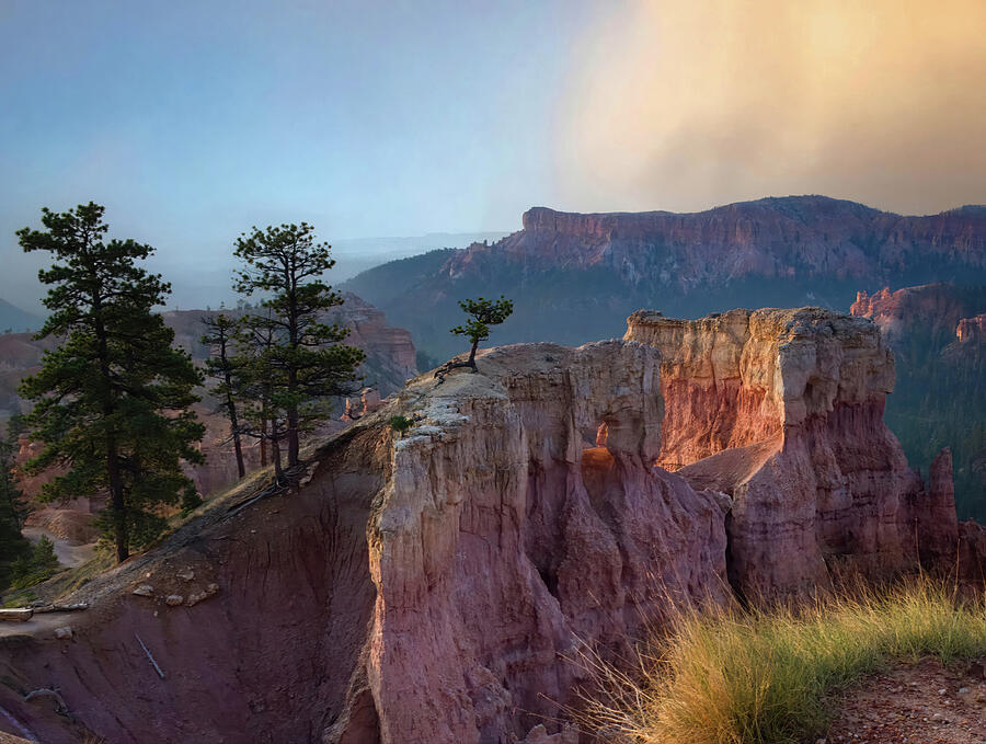 Morning Light on Bryce Canyon Hoodoos Photograph by Rebecca Herranen