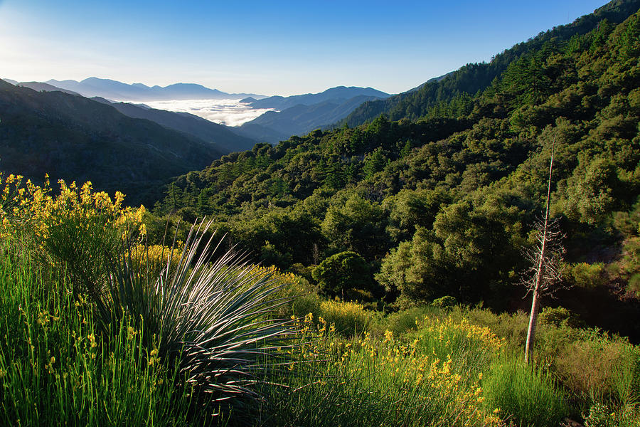Morning Mountain Vista Photograph by Matthew DeGrushe
