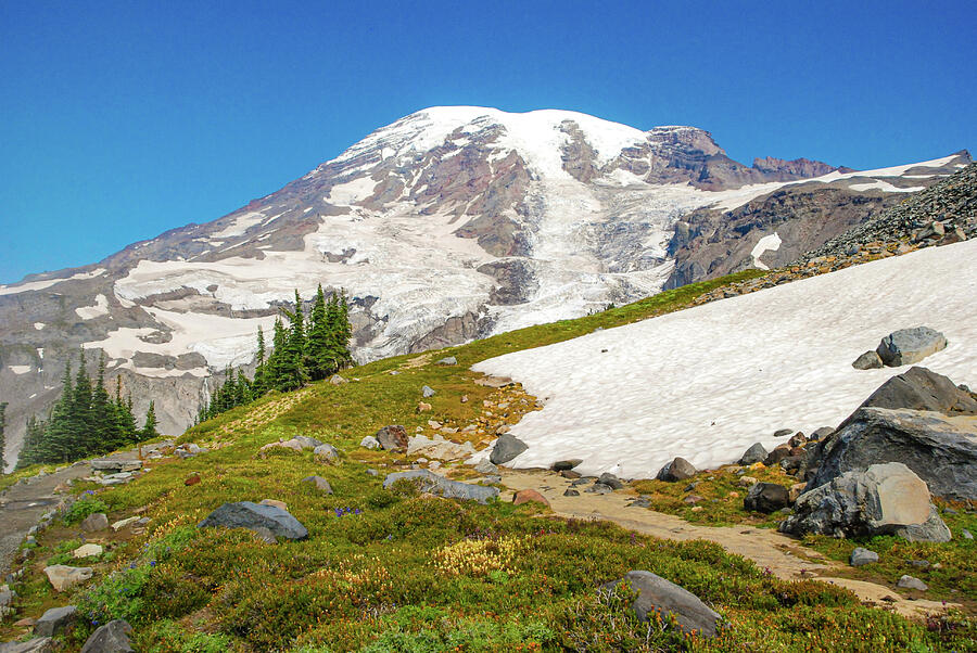 Mount Rainier from Paradise Trail in Mount Rainier National Park Photograph by Nancy Gleason