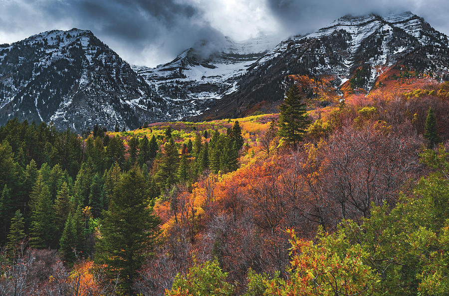 Mount Timpanogos Autumn Photograph by Abbie Warnock