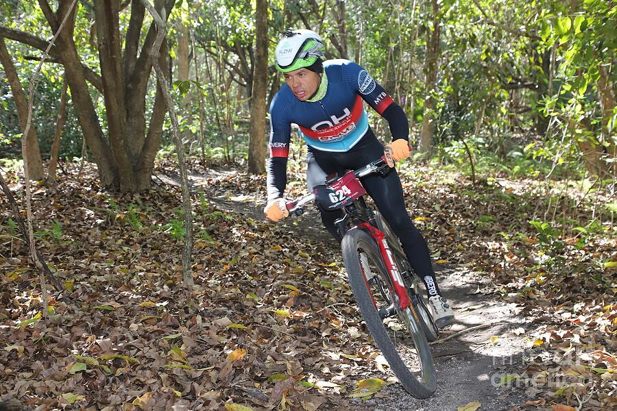 Mountain Biker on Forest Trail Photograph - Mountain Biker on Forest Trail 2607 by Donn Ingemie