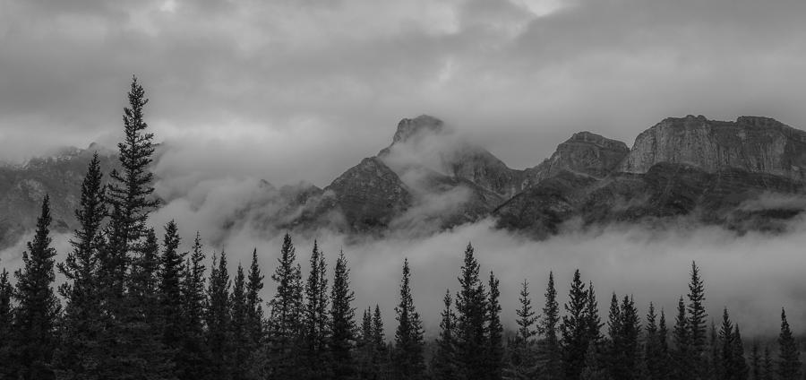 Mountain Forest Panorama Photograph by Dan Sproul