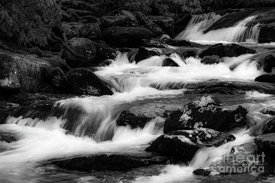 Mountain River Running Cold Photograph by Theresa D Williams Smoky Mountains