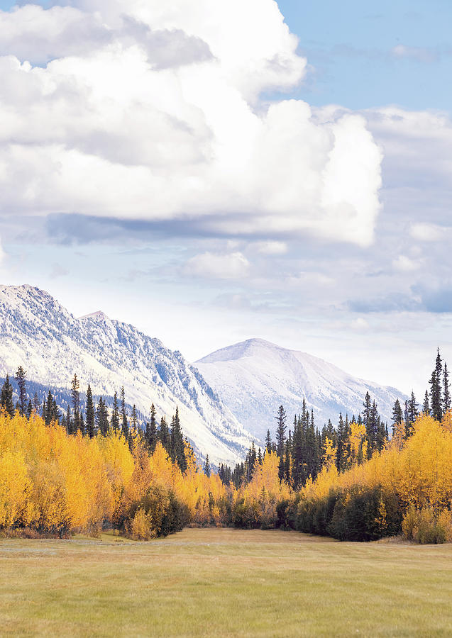 Mountains in the Yukon, Canada on an Autumn Day Photograph by Shannon Williams