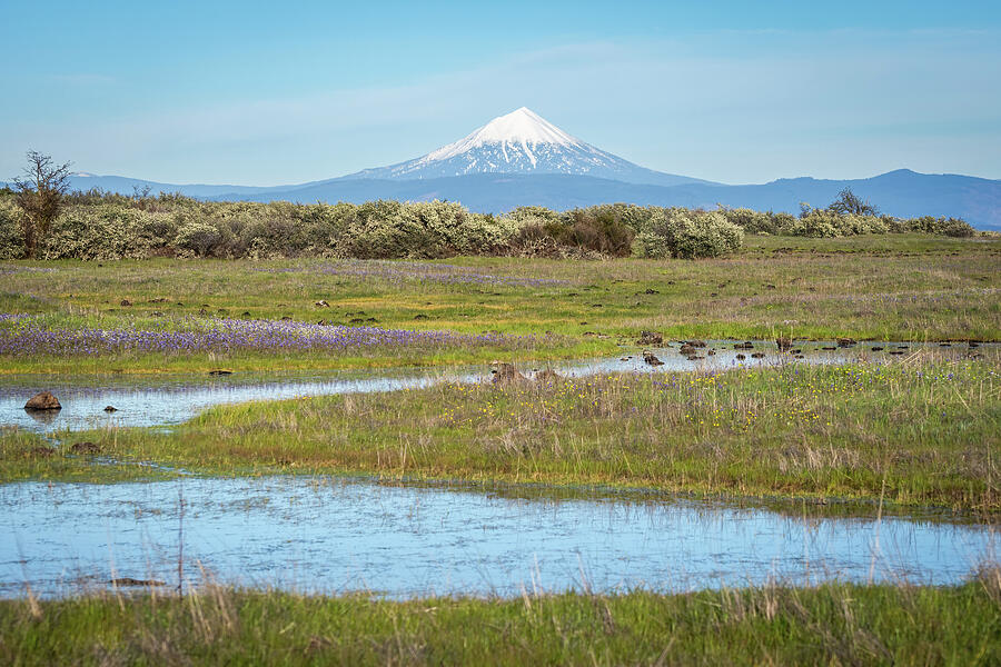 Snow-Capped Mountain and Serene Meadow Photograph - Mt McLoughlin from Lower Table Rock-2 by Diane Moller