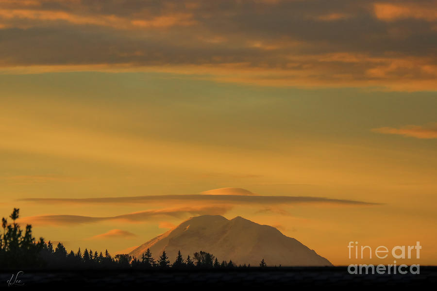 Mt. Rainier at Dawn Photograph by D Lee