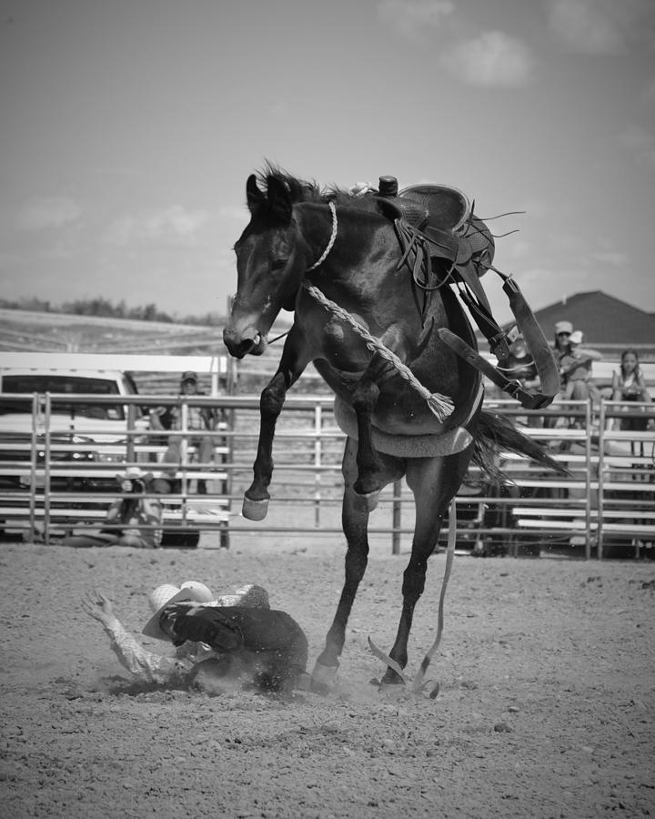 Mule Bronc #1 Photograph by Alden White Ballard