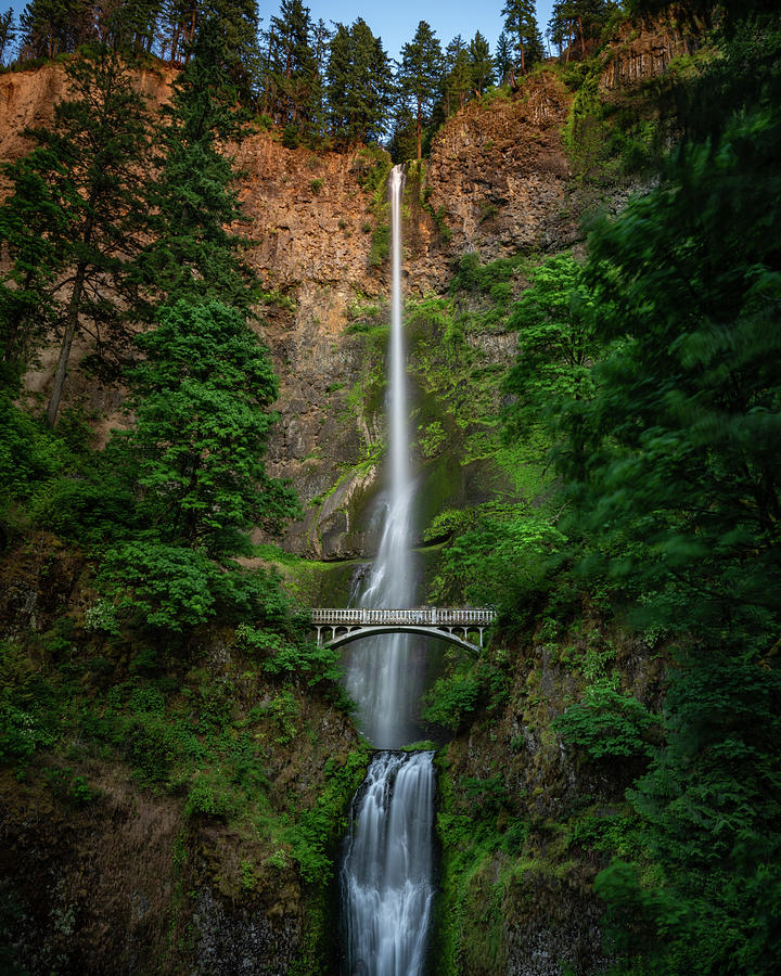 Multnomah Falls Number 4 Photograph by Matt Halvorson