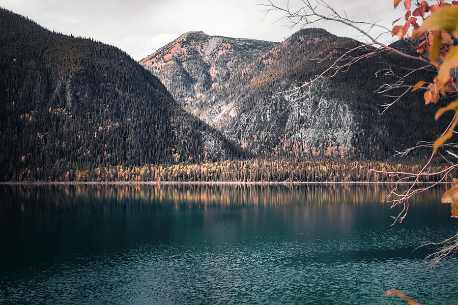 Muncho Lake in Fall Photograph by Shannon Williams