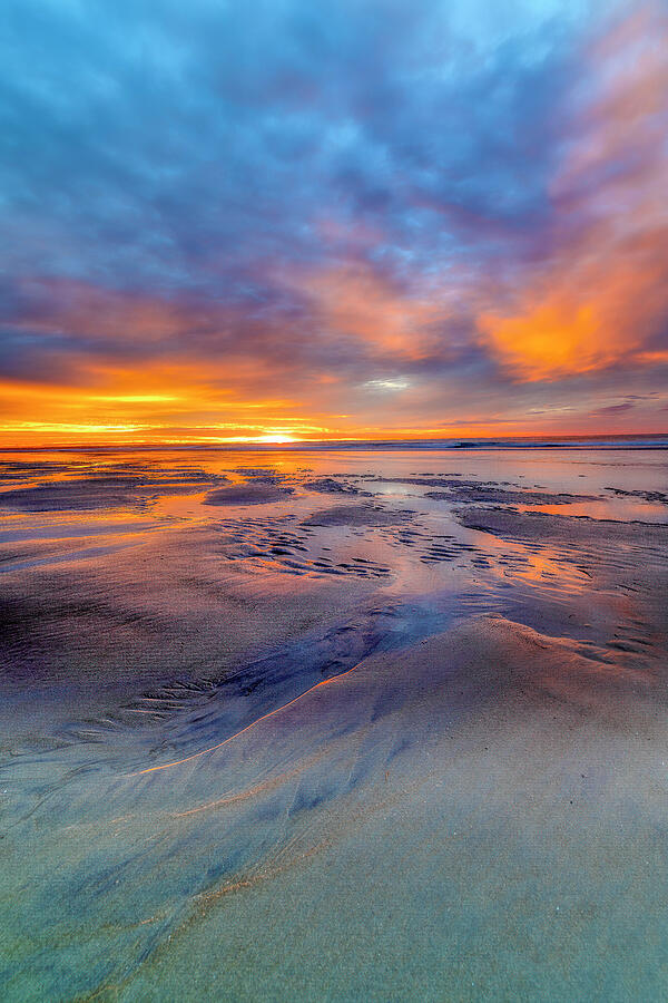 My Favorite Color is Sunrise Photograph by Penny Polakoff