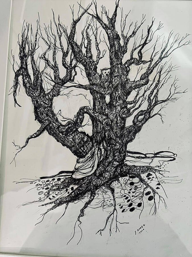 Intricate Gnarled Tree Drawing Drawing - My Tree Nature Study by Susan Orosz