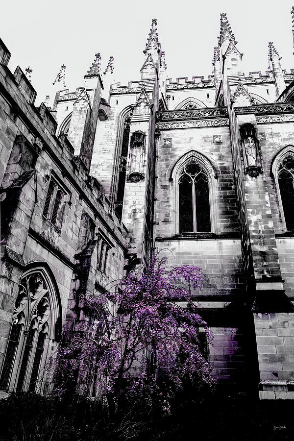 National Cathedral in DC Photograph by Bruce Block