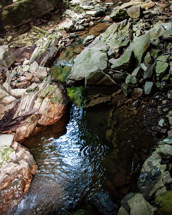 Natural Spring on the hillside Photograph by Flees Photos