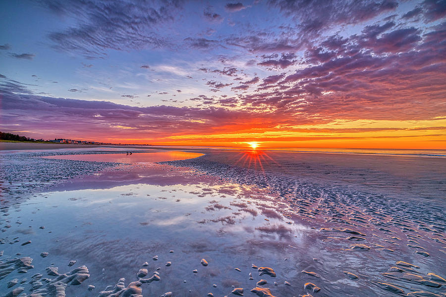 Nature Unfolds Her Treasure Photograph by Penny Polakoff