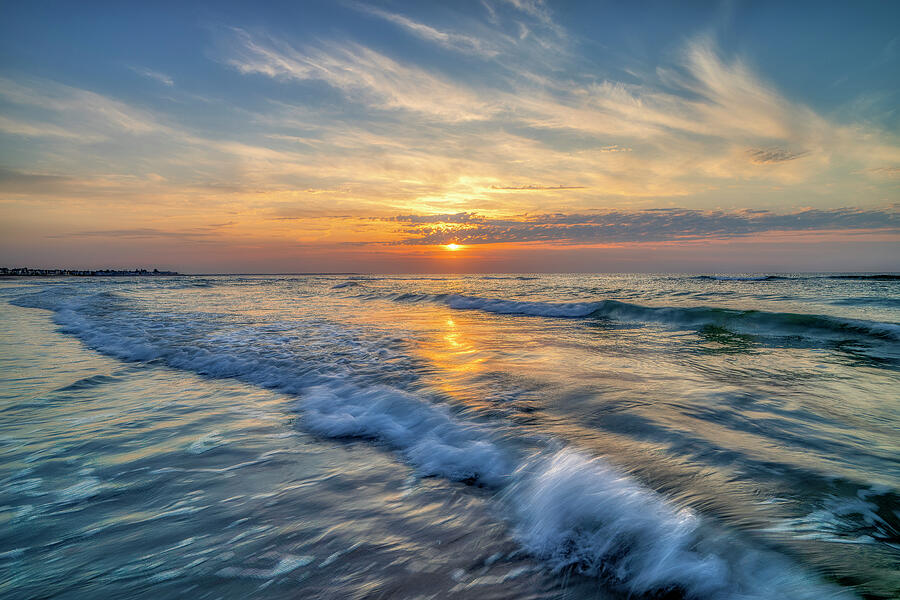 Natures Artistry Photograph by Penny Polakoff