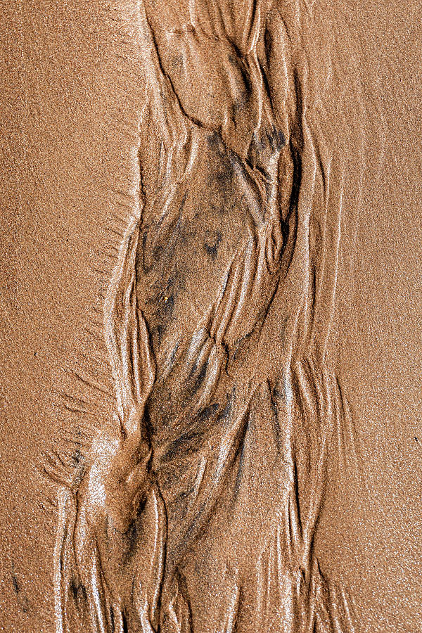 Natures Sand Design Photograph by Craig A Walker