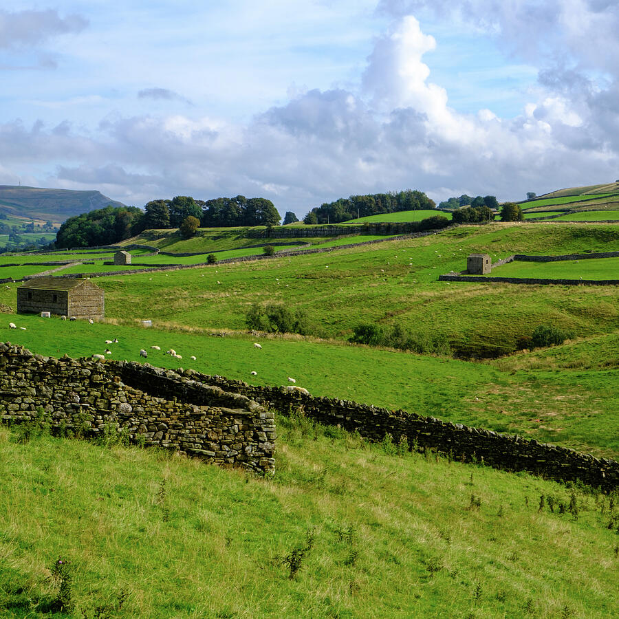 Scenic Yorkshire Dales Landscape Photograph - near Bainbridge by Seeables Visual Arts