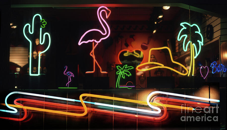 Neon Collection Photograph by William Gunn
