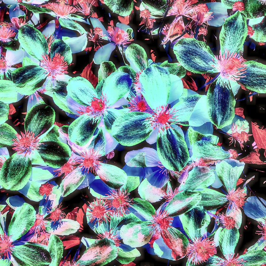 Neon Floral Explosion Digital Art - Neon Floral Explosion by Bruce Block