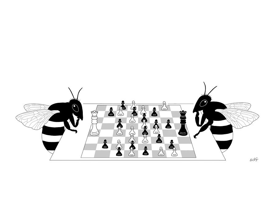 New Yorker August 5, 2024 Drawing by Seth Fleishman