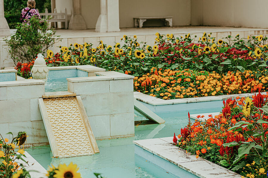 New Zealand Garden Photograph by Nova Rae