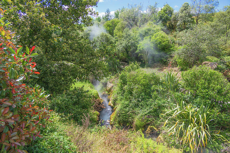 New Zealand Hot Springs Photograph by Nova Rae