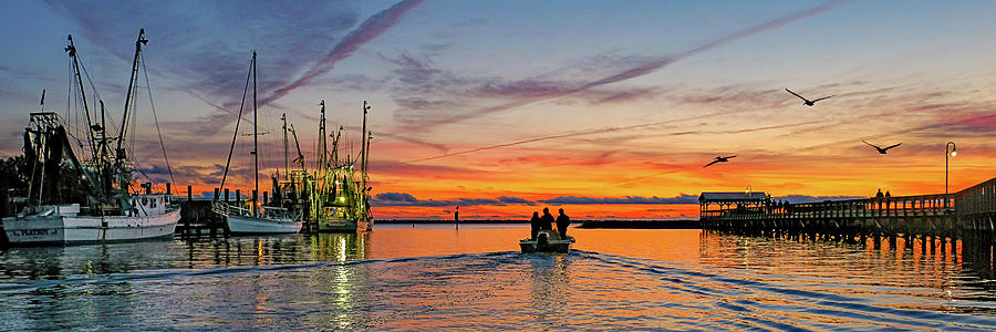 Night Catch Photograph by Maryanne Keeling