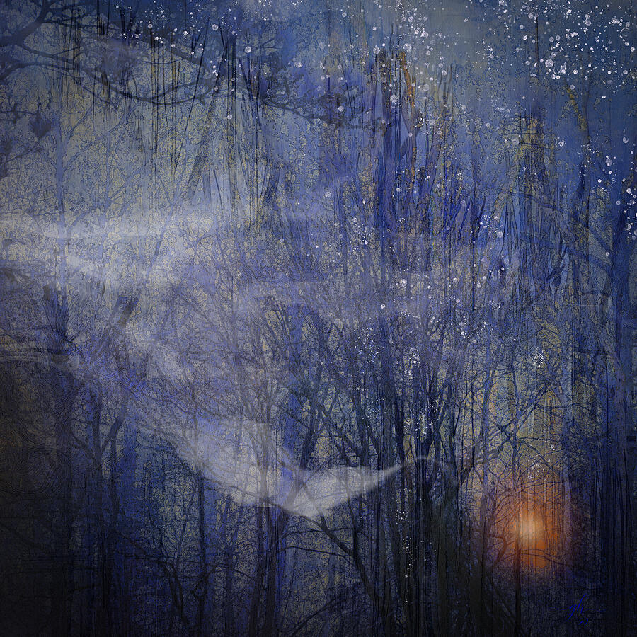 Enchanted Forest at Dusk Digital Art - Night Song by Gina Harrison