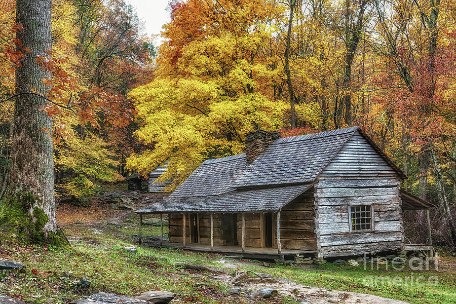 Noah Ogle House Yellow Leaves Photograph by Jimmy Pappas