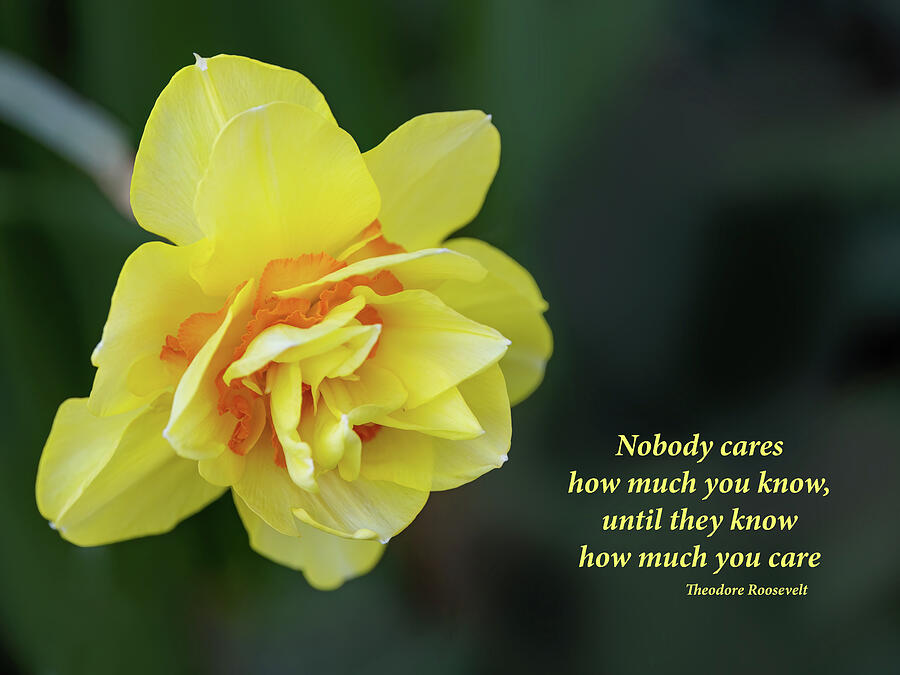 Nobody Cares Photograph by Gina Fitzhugh