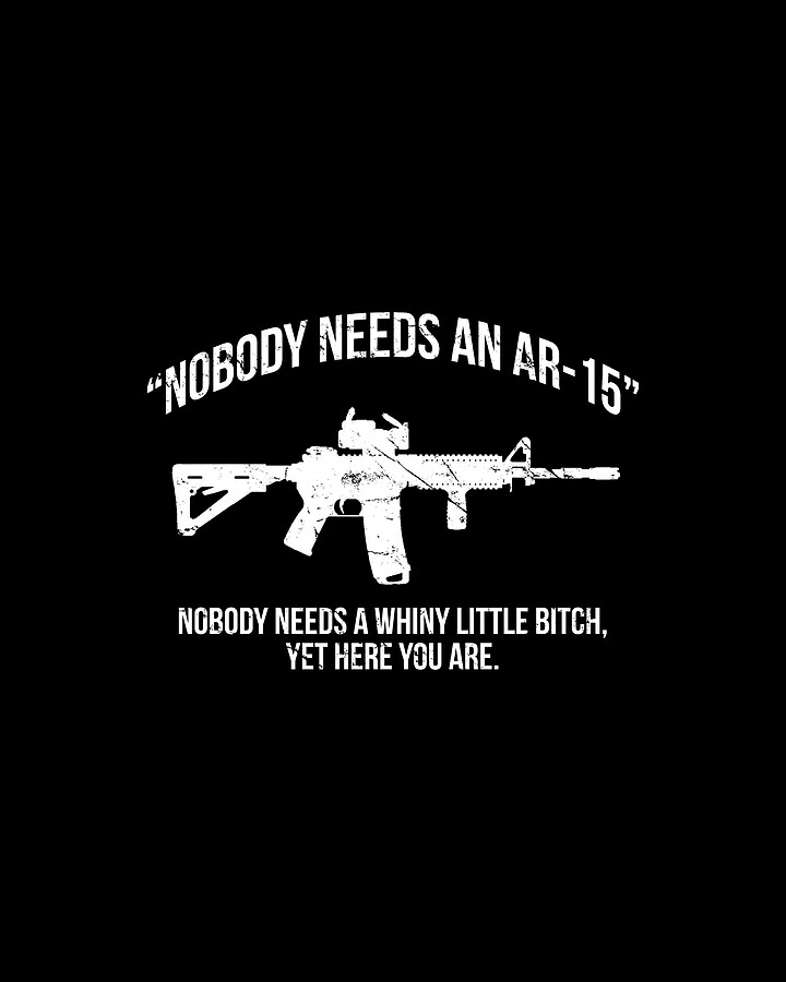 Nobody Needs An AR-15 Pro-2A Digital Art by Flippin Sweet Gear