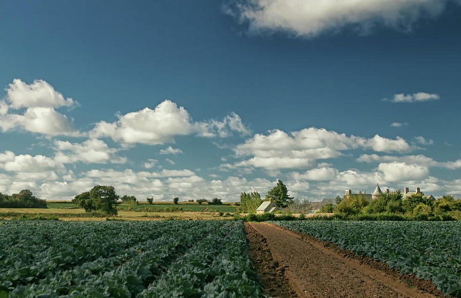 Normandy Countryside 1 Photograph by Lisa Chorny