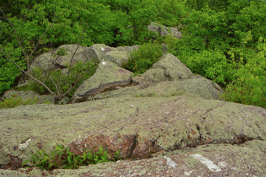 NY AT Rocks Photograph by Raymond Salani III