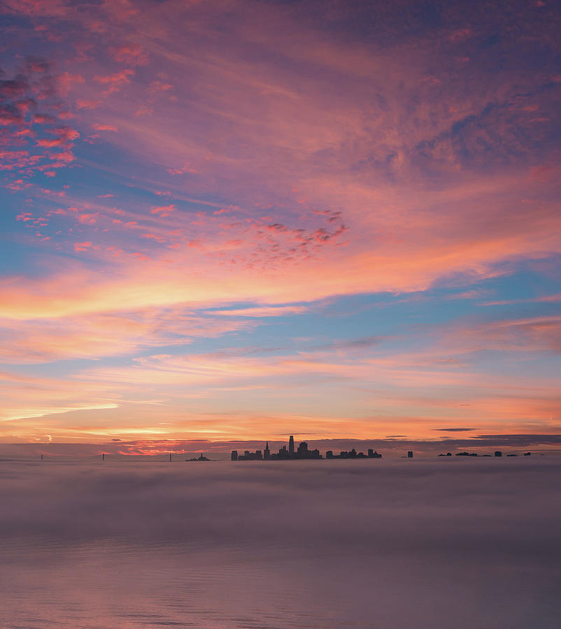 Oasis Photograph by Louis Raphael