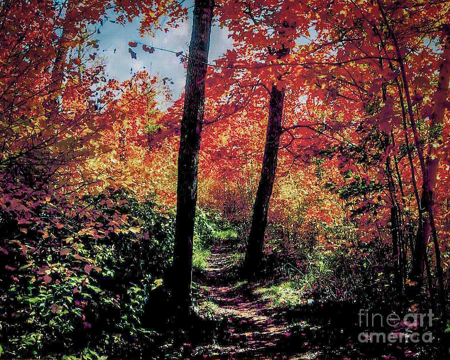 Oberg Mountain Trailhead 2010 Photograph by Mark Triplett